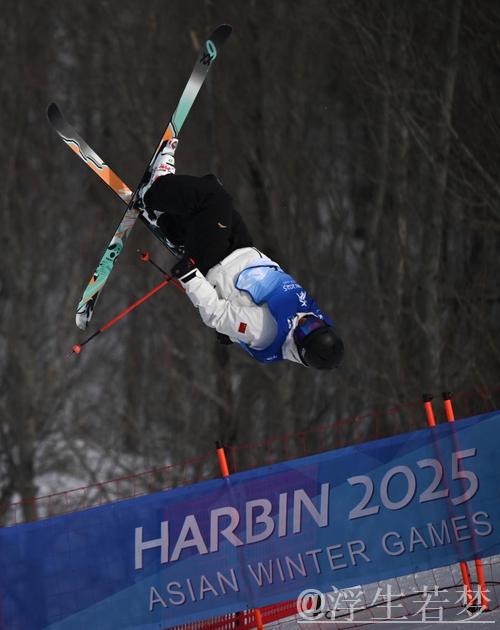自由式滑雪世锦赛男子U型场地巅峰对决