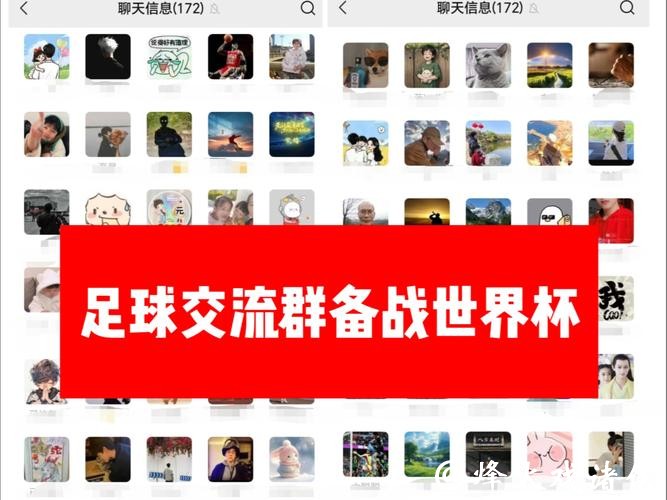 参与世界杯竞猜的微信群交流平台 参与世界杯竞猜的微信群交流平台